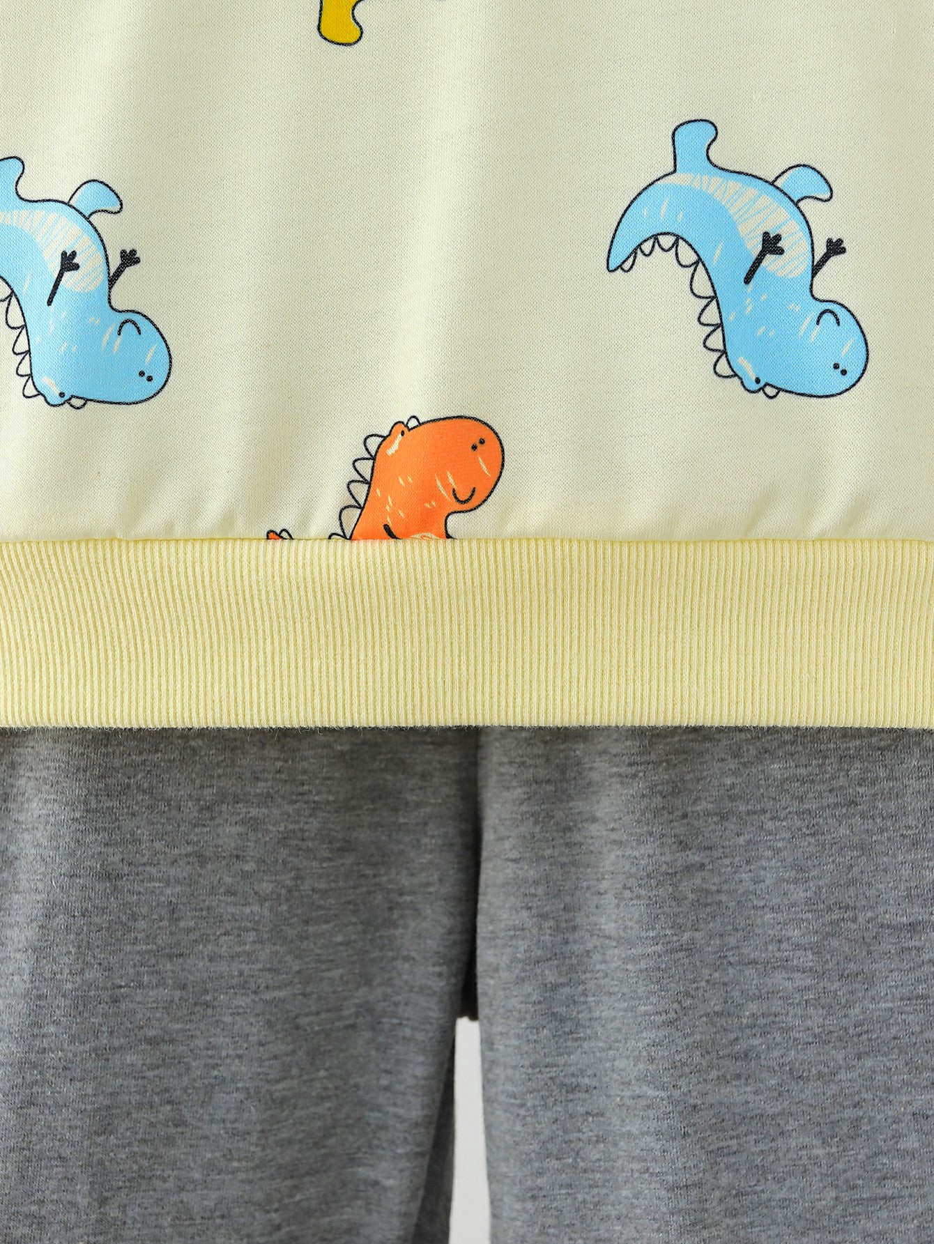 Boys Dinosaur Print Sweatshirt and Pants Set