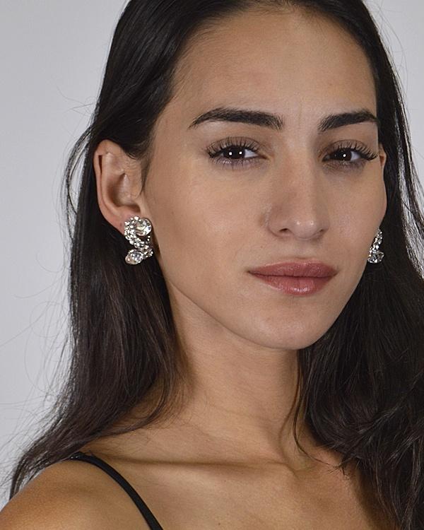 S Shaped Stone and Crystal Studded Earrings id.31435 - Absolute Fashion 2020