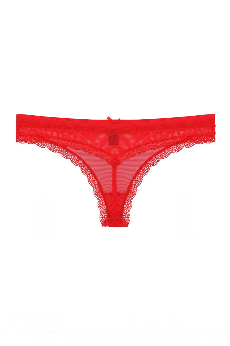 Lace & Mesh G-string Thong - Absolute Fashion 2020