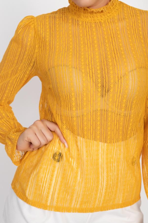 Ruffle Mock Neck Lace Top - Absolute Fashion 2020