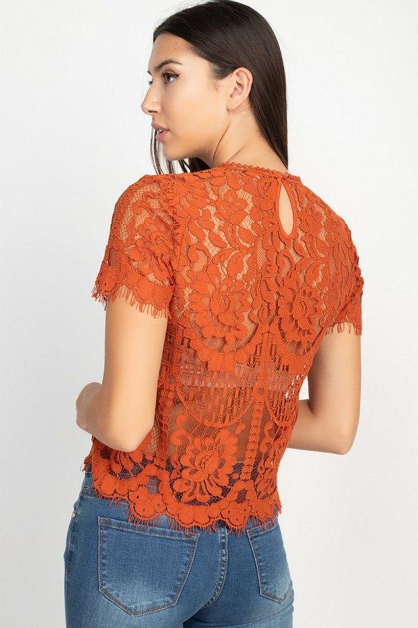 Eyelash Trim Sheer Floral Lace Top - Absolute Fashion 2020