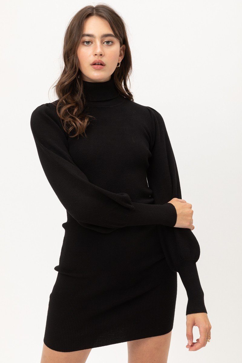 Turtle Neck Sweater Dress - Absolute Fashion 2020