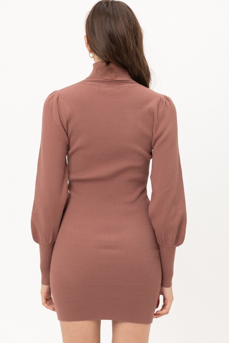 Turtle Neck Sweater Dress - Absolute Fashion 2020