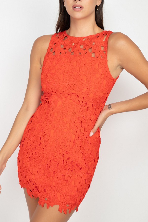 Floral Lace Bodycon Dress - Absolute Fashion 2020