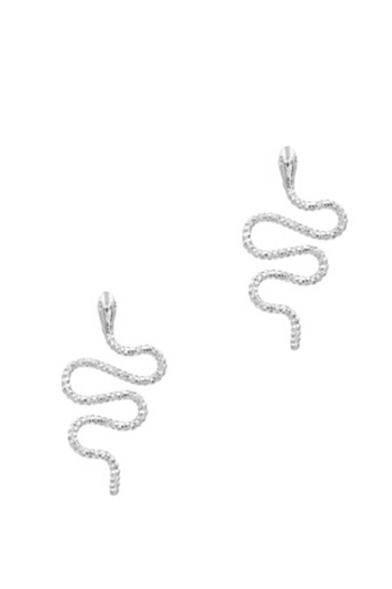 Swirl Snake Metal Earring - Absolute Fashion 2020