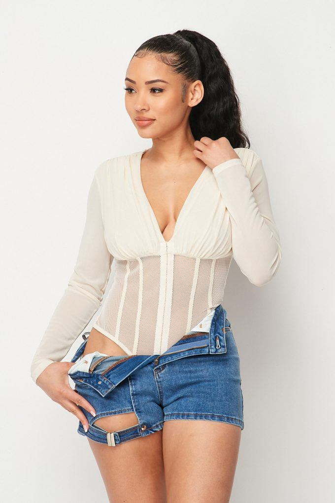 Fishnet Sheer Mesh Back Deep V Neck Bodysuit - Absolute Fashion 2020