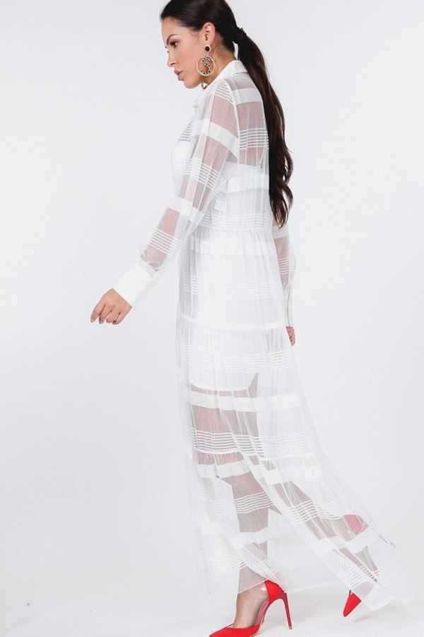 Stripe Pleated Long Sheer Shirt Dress - Absolute Fashion 2020