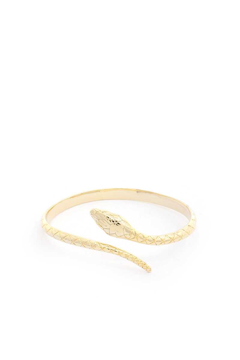 Snake Metal Bracelet - Absolute Fashion 2020