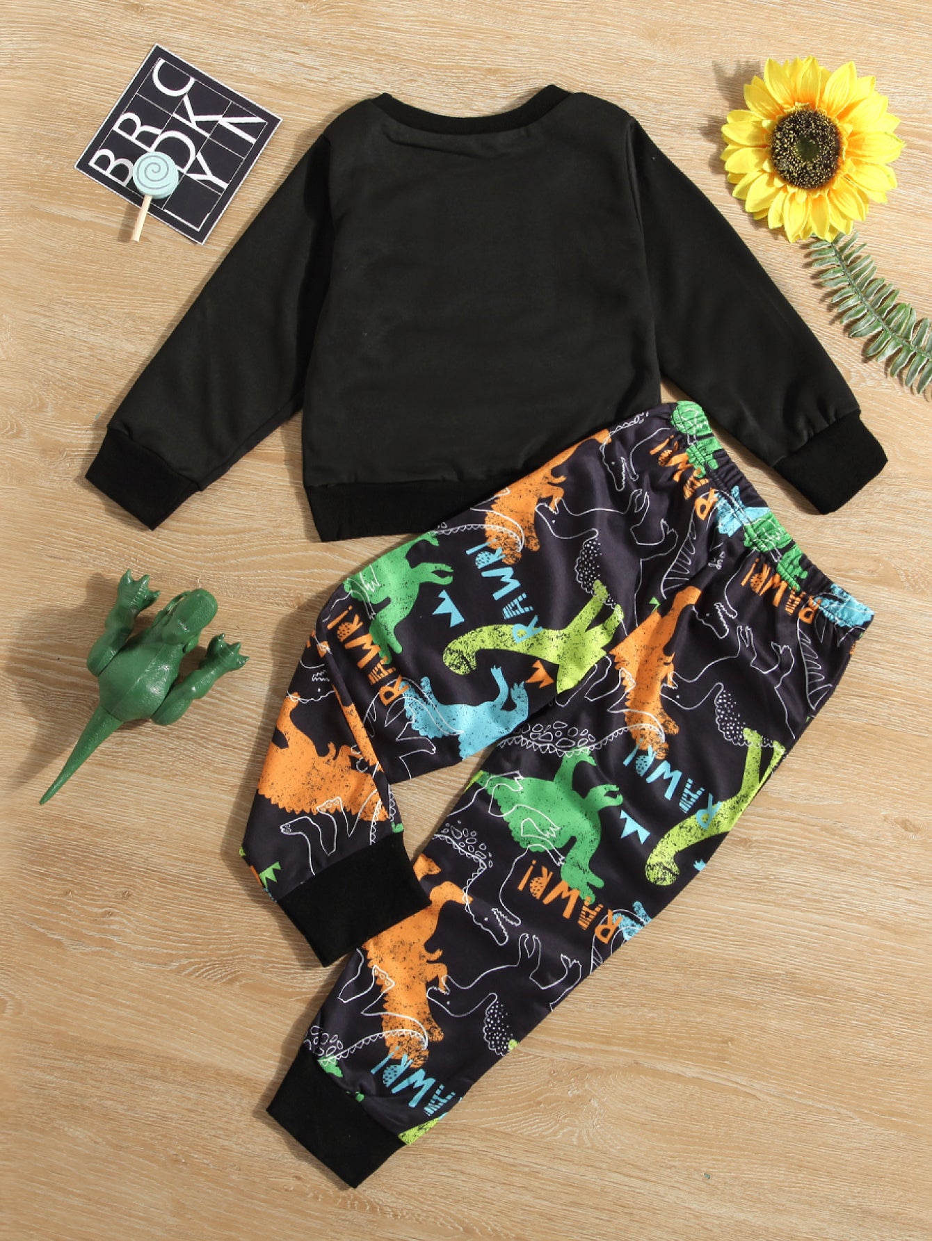 Boys Dinosaur Graphic Sweatshirt and Pants Set