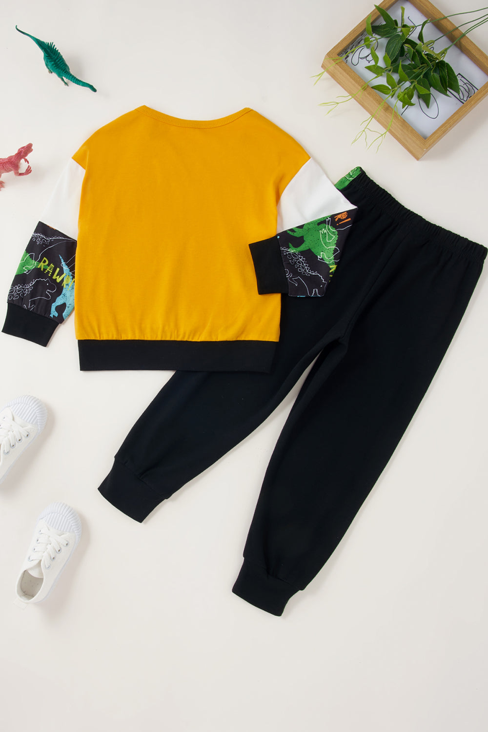 Boys Color Block Top and Pants Set