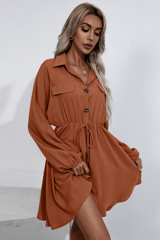 Collared Tie Waist Button Up Shirt Dress - Absolute Fashion 2020