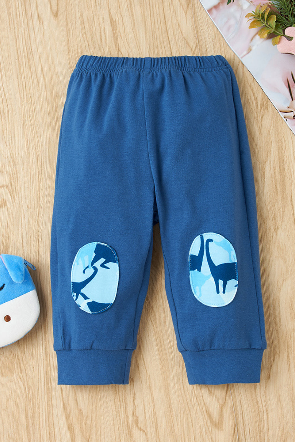Boys Dinosaur T-shirts and Pants Set