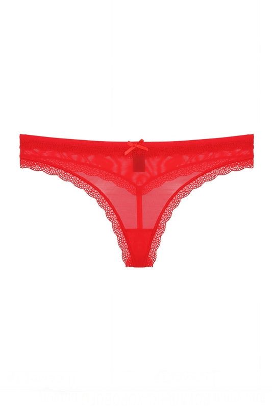Lace & Mesh G-string Thong - Absolute Fashion 2020