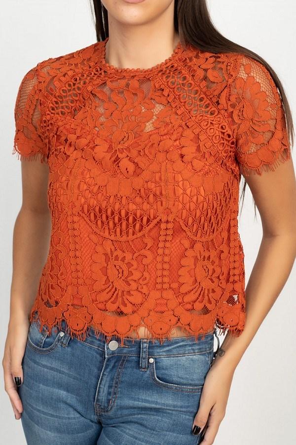 Eyelash Trim Sheer Floral Lace Top - Absolute Fashion 2020