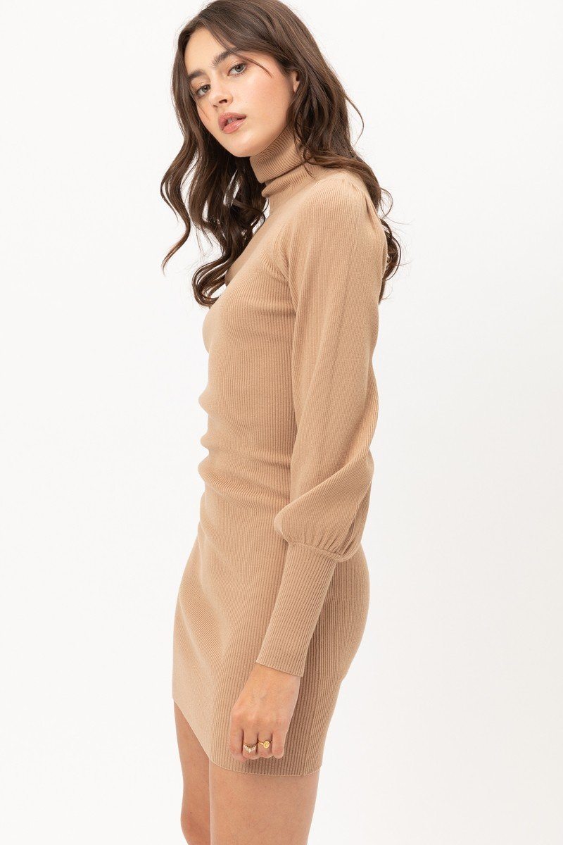 Turtle Neck Sweater Dress - Absolute Fashion 2020