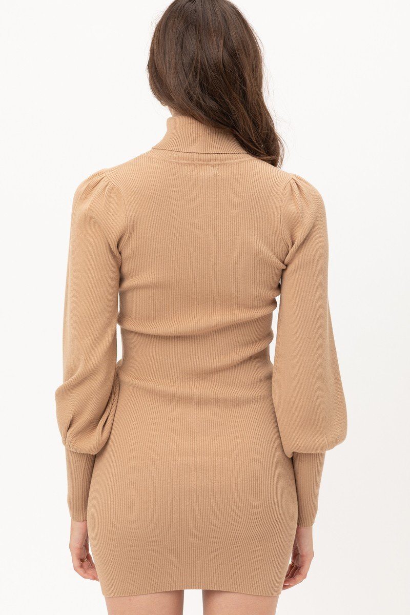 Turtle Neck Sweater Dress - Absolute Fashion 2020
