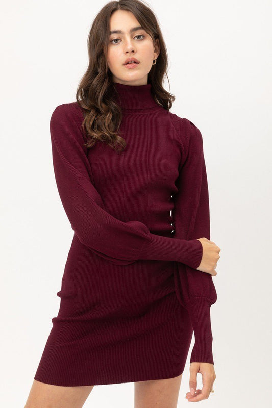 Turtle Neck Sweater Dress - Absolute Fashion 2020