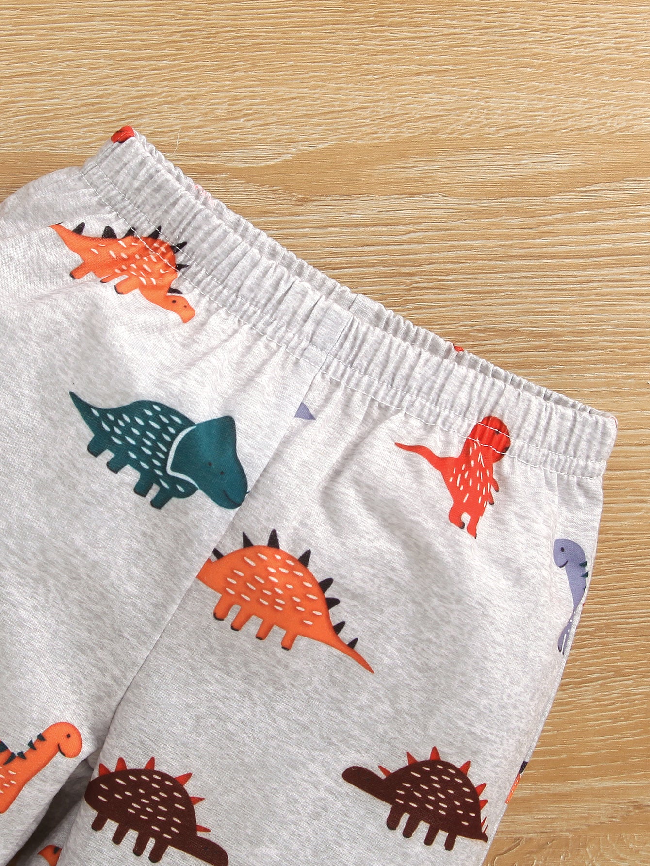 Baby Dinosaur Print Pullover and Joggers Set