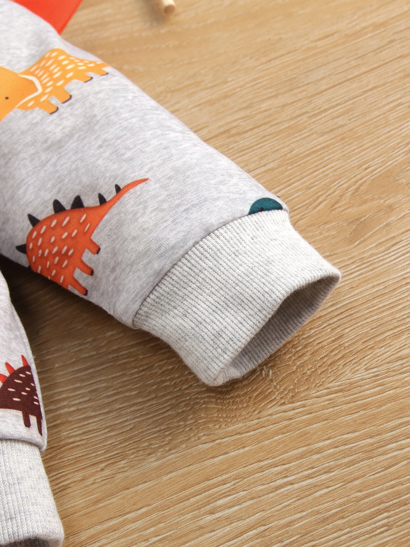 Baby Dinosaur Print Pullover and Joggers Set