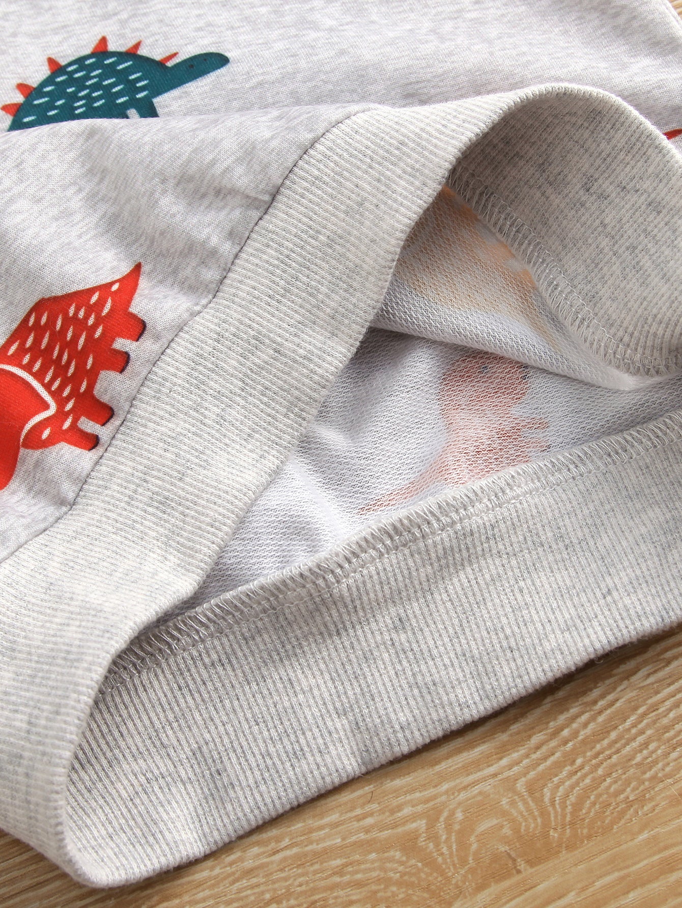 Baby Dinosaur Print Pullover and Joggers Set