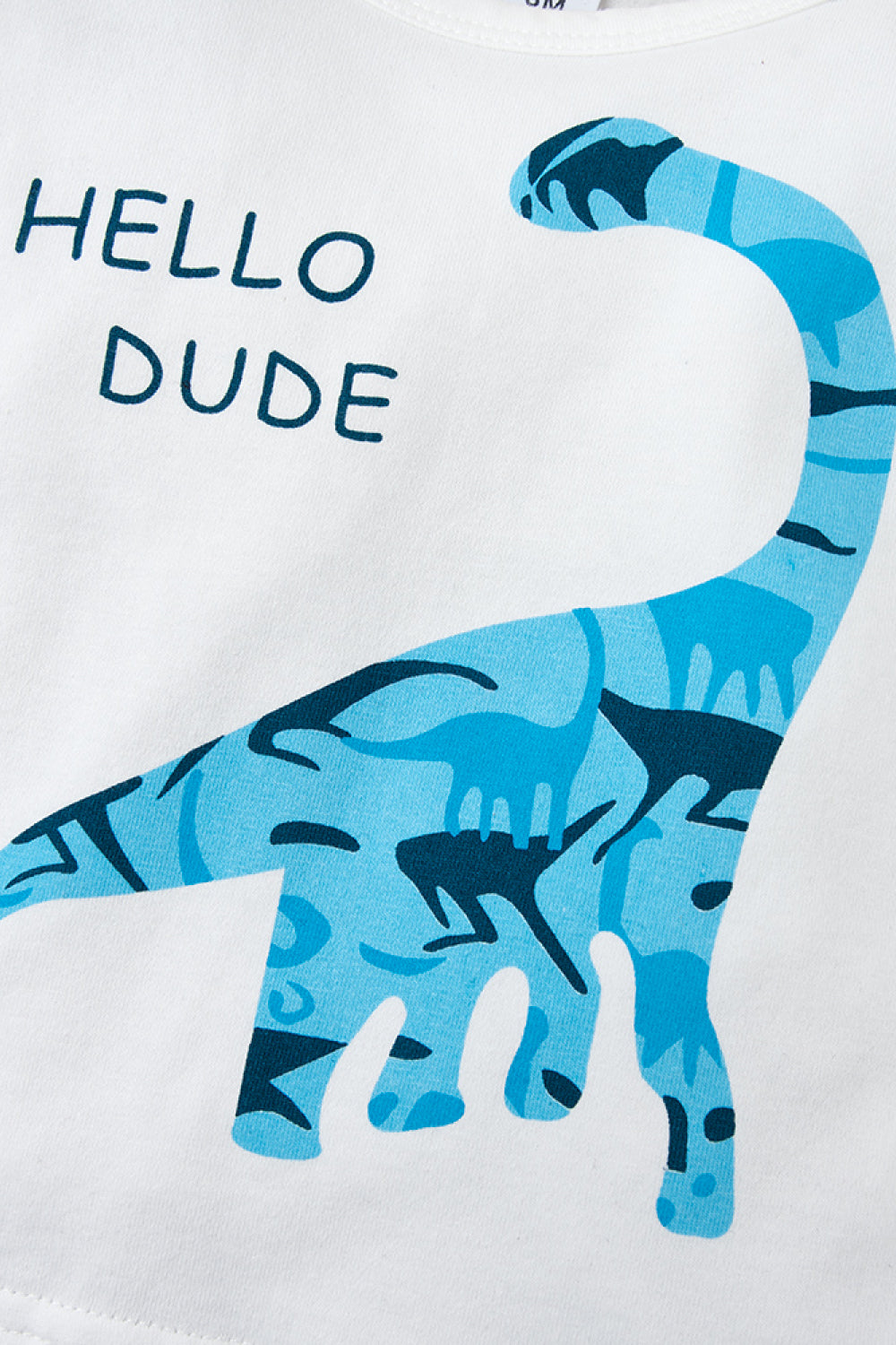 Boys Dinosaur T-shirts and Pants Set