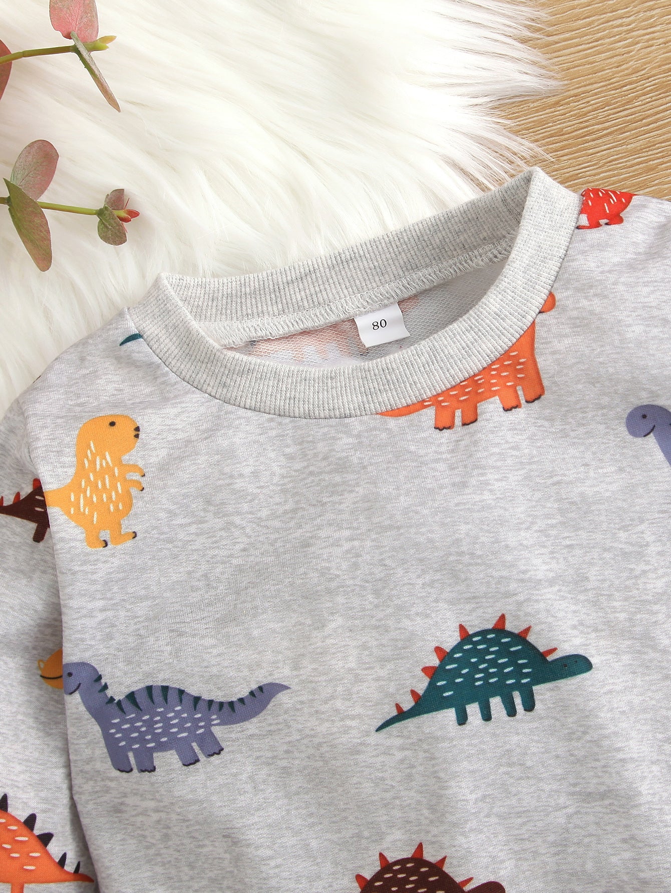 Baby Dinosaur Print Pullover and Joggers Set